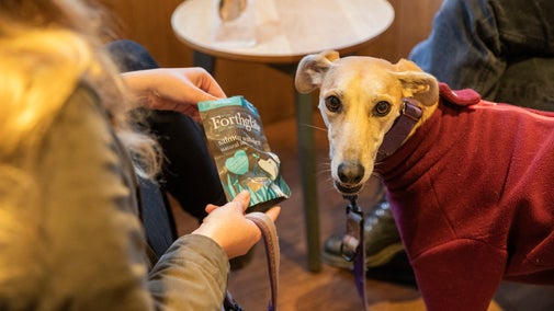 Visitors relaxing with their dog in the Porters Lodge café at Ickworth, Suffolk